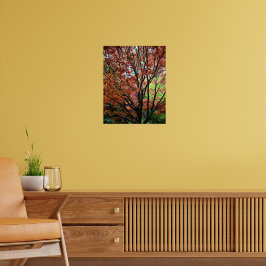 Kleurrijke herfst esdoornbladeren poster