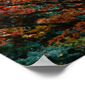 Kleurrijke herfst esdoornbladeren poster (Hoek)