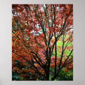 Kleurrijke herfst esdoornbladeren poster (Voorkant)