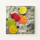 Kleurrijke herfst espenbladeren foto gepersonalise notitieboek (Achterkant)