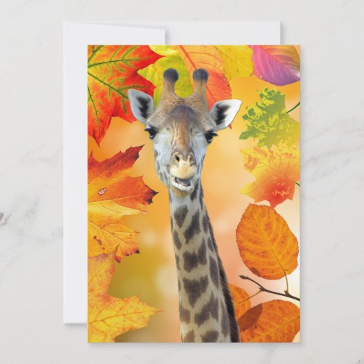Kleurrijke herfst / Herfst Giraffe (Voorkant)