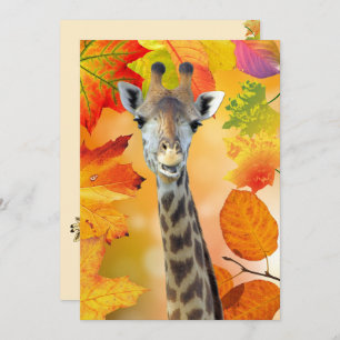 Kleurrijke herfst / Herfst Giraffe