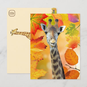 Kleurrijke herfst / Herfst Giraffe Briefkaart