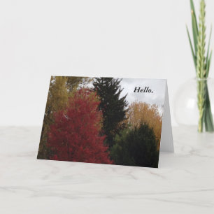 Kleurrijke herfst Herfst Hallo Wenskaart Trees Kaart
