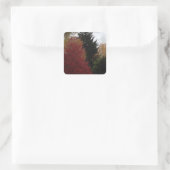 Kleurrijke Herfst herfstbomen aangepaste Stickers (Tas)
