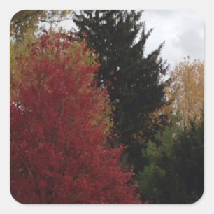 Kleurrijke Herfst herfstbomen aangepaste Stickers