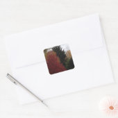 Kleurrijke Herfst herfstbomen aangepaste Stickers (Envelop)