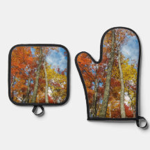 Kleurrijke herfst laat bos grote rokerige bergen