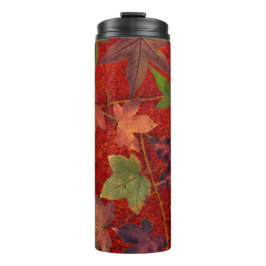 Kleurrijke herfst Leaves Brown Red Green Tumbler Thermosbeker