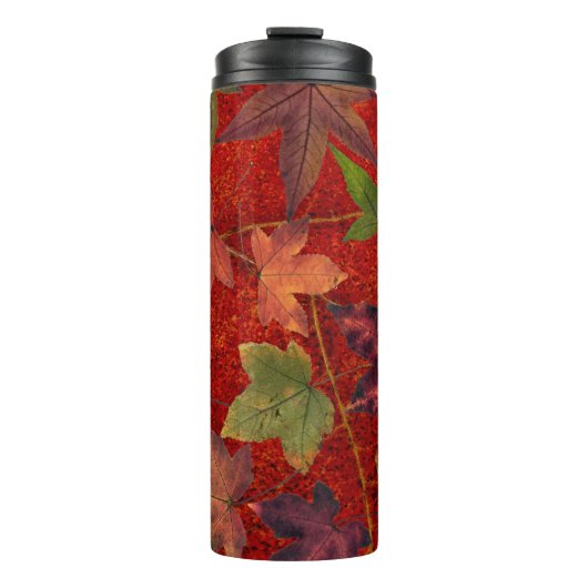 Kleurrijke herfst Leaves Brown Red Green Tumbler Thermosbeker (Voorkant)