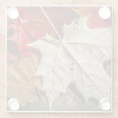 Kleurrijke Herfst Maple laat drijven Glazen Onderzetter (Achterkant)