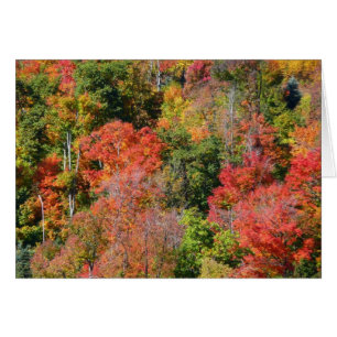 Kleurrijke herfst natuur fotografie op een helling