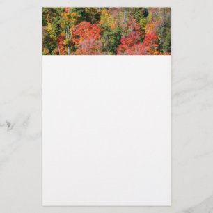 Kleurrijke herfst natuur fotografie op een helling briefpapier