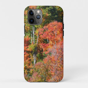 Kleurrijke herfst natuur fotografie op een helling Case-Mate iPhone case