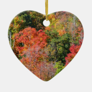 Kleurrijke herfst natuur fotografie op een helling keramisch ornament