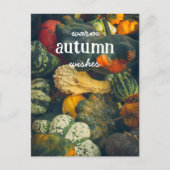 Kleurrijke herfst squash en pompoenen feestdagenkaart (Voorkant)