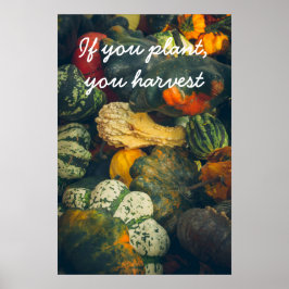 Kleurrijke herfst squash en pompoenen poster