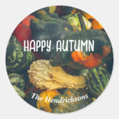 Kleurrijke herfst squash en pompoenen ronde sticker (Voorkant)