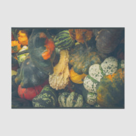 Kleurrijke herfst squash en pompoenen tissuepapier