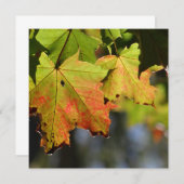 Kleurrijke herfstbladeren (Voorkant / Achterkant)