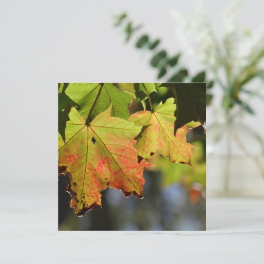 Kleurrijke herfstbladeren (Staand voorkant)