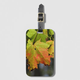 Kleurrijke herfstbladeren bagagelabel