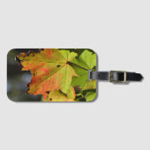 Kleurrijke herfstbladeren bagagelabel (Voorkant (horizontaal))