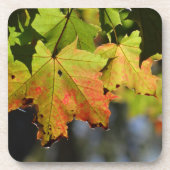 Kleurrijke herfstbladeren bier onderzetter (Voorkant)