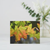 Kleurrijke herfstbladeren briefkaart (Staand voorkant)