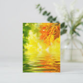 Kleurrijke herfstbladeren die in het water reflect briefkaart (Staand voorkant)