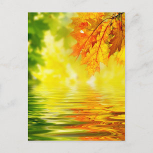 Kleurrijke herfstbladeren die in het water reflect briefkaart