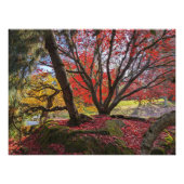 Kleurrijke herfstbladeren en bomen landschap foto afdruk (Voorkant)