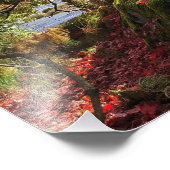 Kleurrijke herfstbladeren en bomen landschap foto afdruk (Hoek)