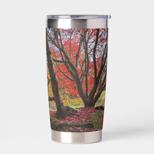 Kleurrijke herfstbladeren en bomen landschap geïsoleerde drinkbeker (Links)