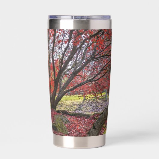 Kleurrijke herfstbladeren en bomen landschap geïsoleerde drinkbeker (Achterkant)