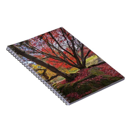 Kleurrijke herfstbladeren en bomen landschap notitieboek (Rechterzijde)