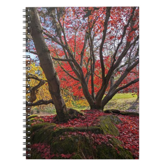 Kleurrijke herfstbladeren en bomen landschap notitieboek (Voorkant)