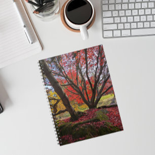 Kleurrijke herfstbladeren en bomen landschap notitieboek