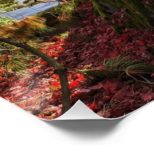 Kleurrijke herfstbladeren en bomen landschap perfect poster (Hoek)