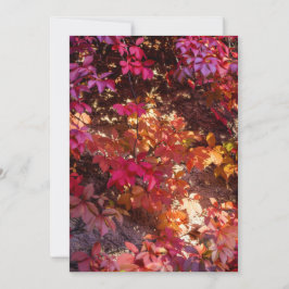 Kleurrijke herfstbladeren feestdagenkaart