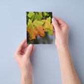 Kleurrijke herfstbladeren flyer (Hand)