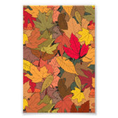 Kleurrijke herfstbladeren foto afdruk (Voorkant)