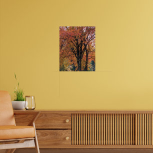 Kleurrijke herfstbladeren fotografisch poster