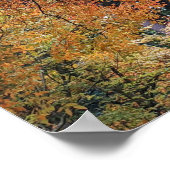 Kleurrijke herfstbladeren fotografisch poster (Hoek)