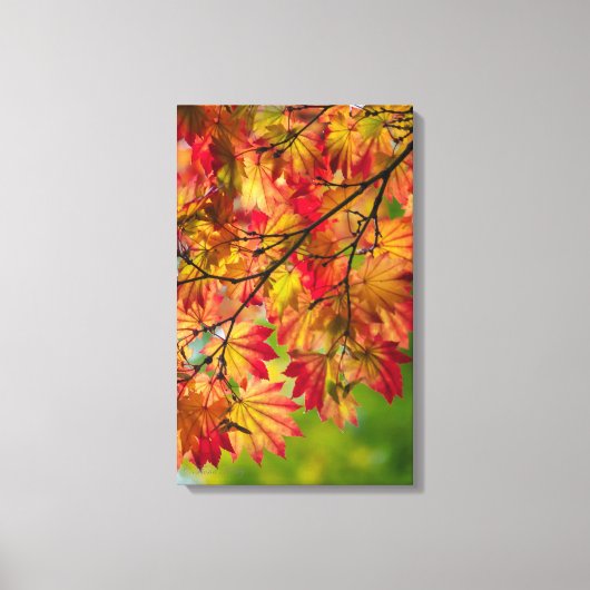 Kleurrijke herfstbladeren gewikkeld canvas afdruk (Voorkant)