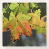 Kleurrijke herfstbladeren glazen onderzetter (Voorkant)