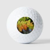 Kleurrijke herfstbladeren golfballen (Voorkant)