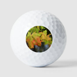 Kleurrijke herfstbladeren golfballen