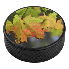 Kleurrijke herfstbladeren hockey puck