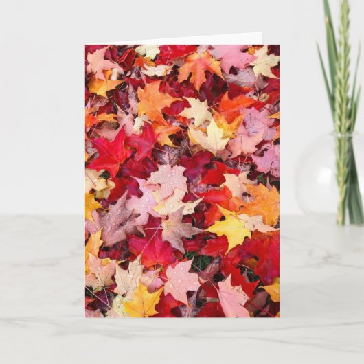 Kleurrijke herfstbladeren kaart (Voorkant)
